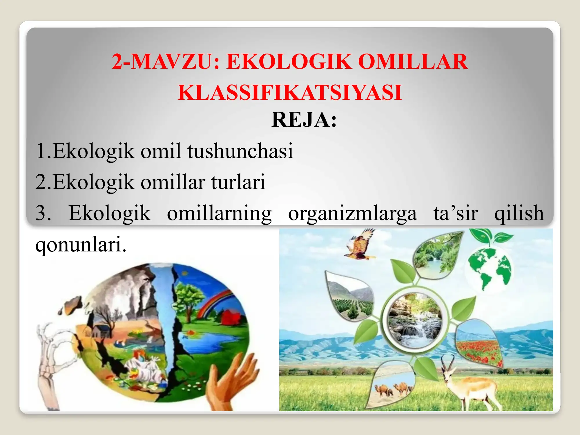 EKOLOGIK OMILLAR 1