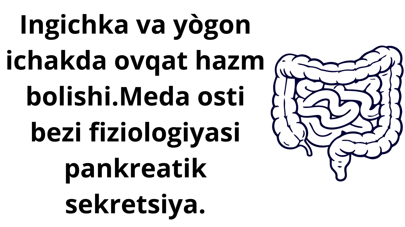 Ingichka va yògon ichak 1