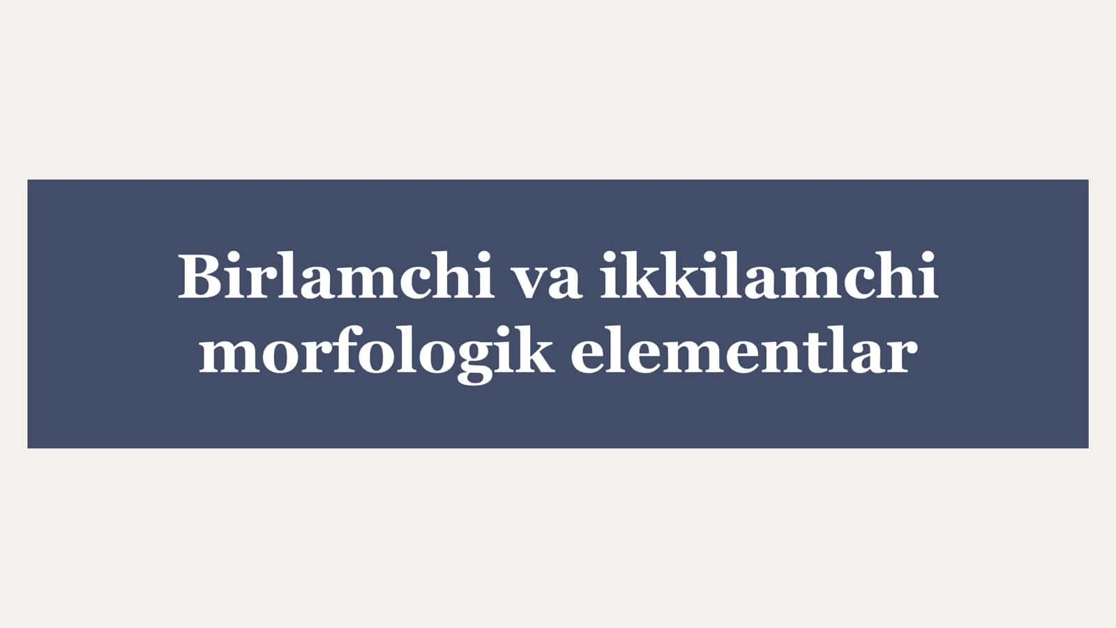 Birlamchi va ikkilamchi morfologik elementlar 1