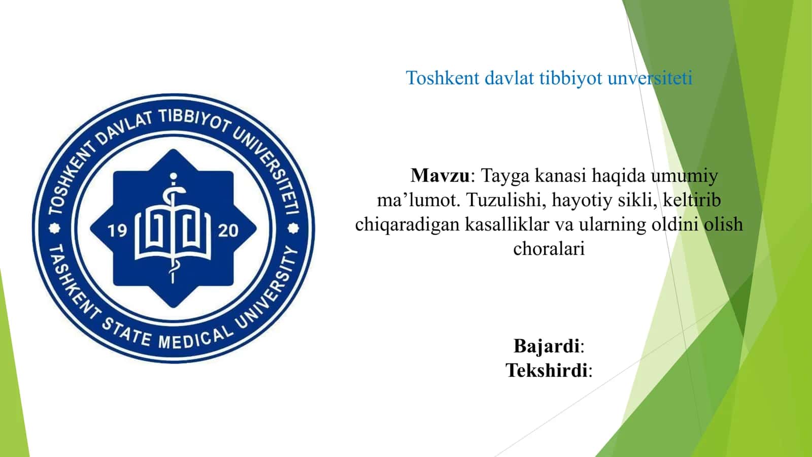 Tayga kanasi 1