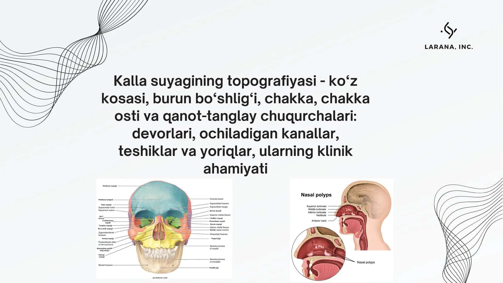 kalla suyagi anatomiyasi 1
