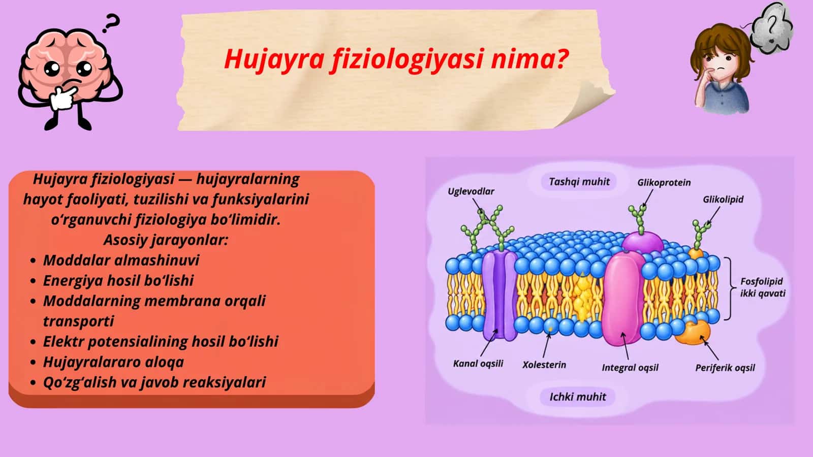 Hujayra fiziologiyasi. Hujayra membranasi tuzulishi.Ion kanallari turlari 1