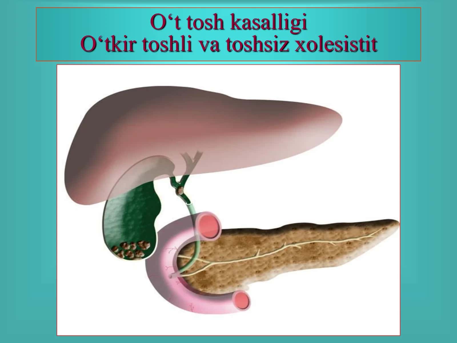 O„t ishlab chiqarish fiziologiyasi 1