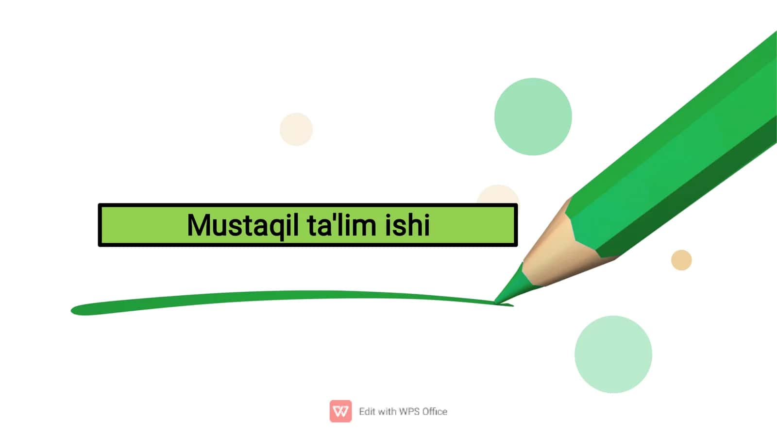 Mustaqil ta'lim ishi 1