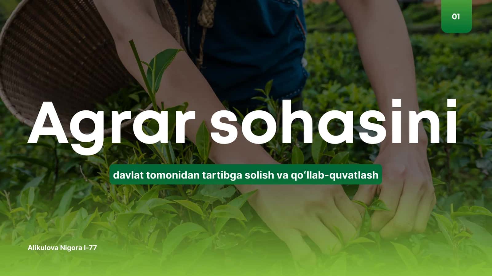 Agrar sohasini davlat tomonidan tartibga solish va qoʻllab-quvatlash 1