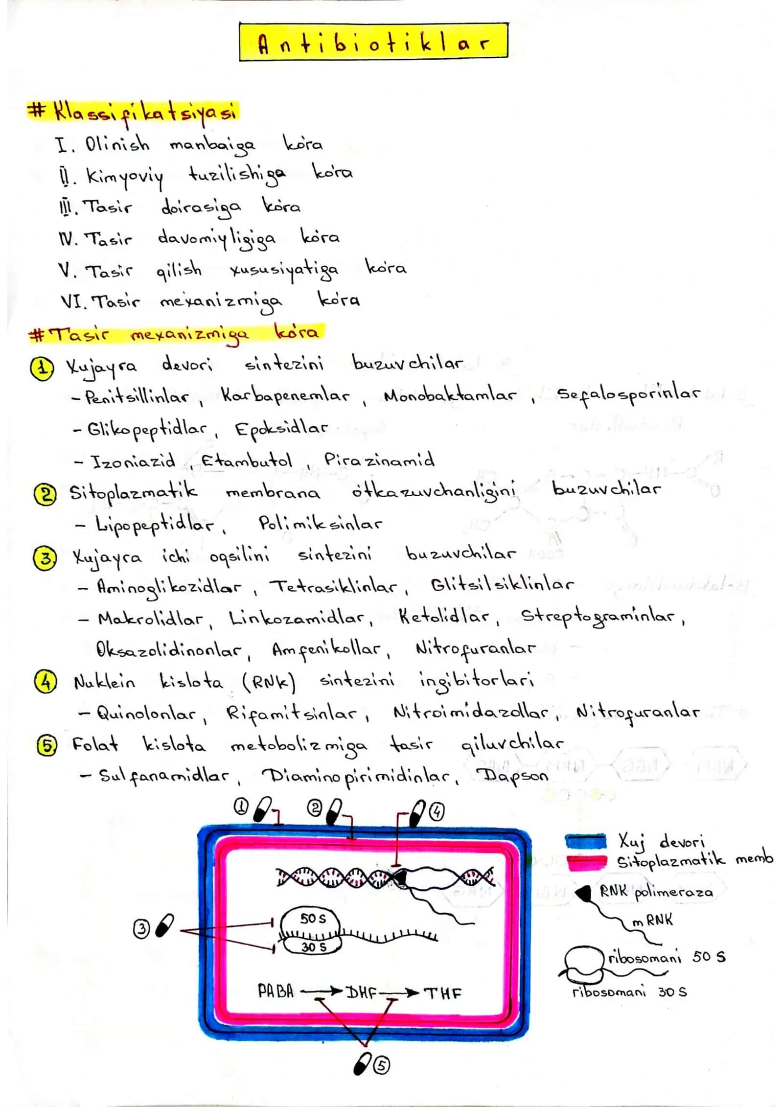 Antibiotiklar 1