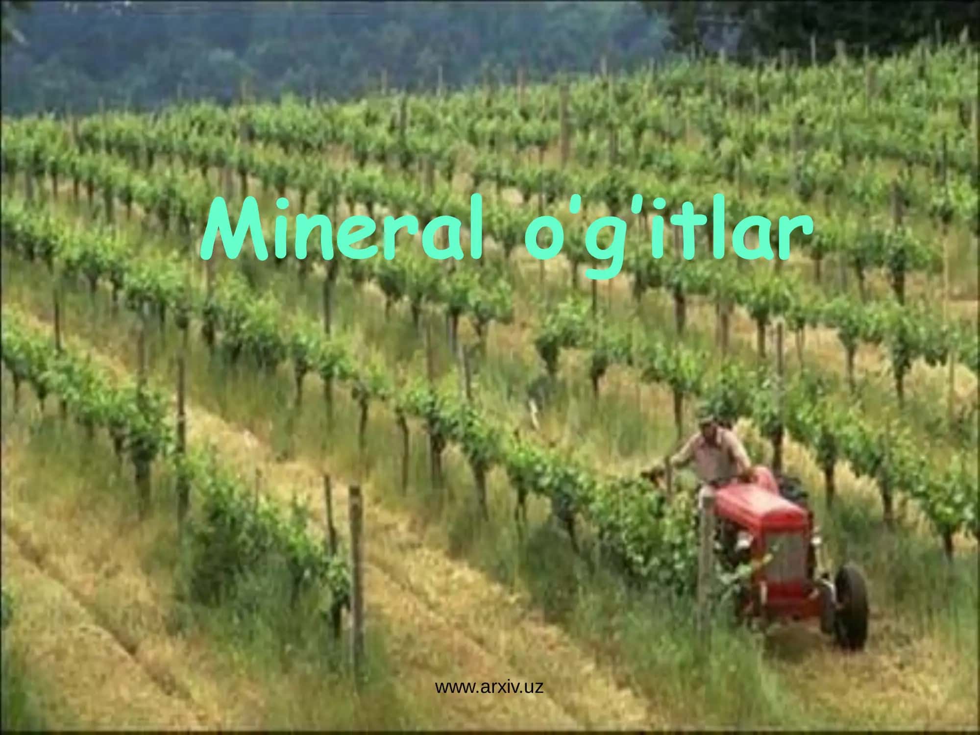 Mineral o’g’itlar 1