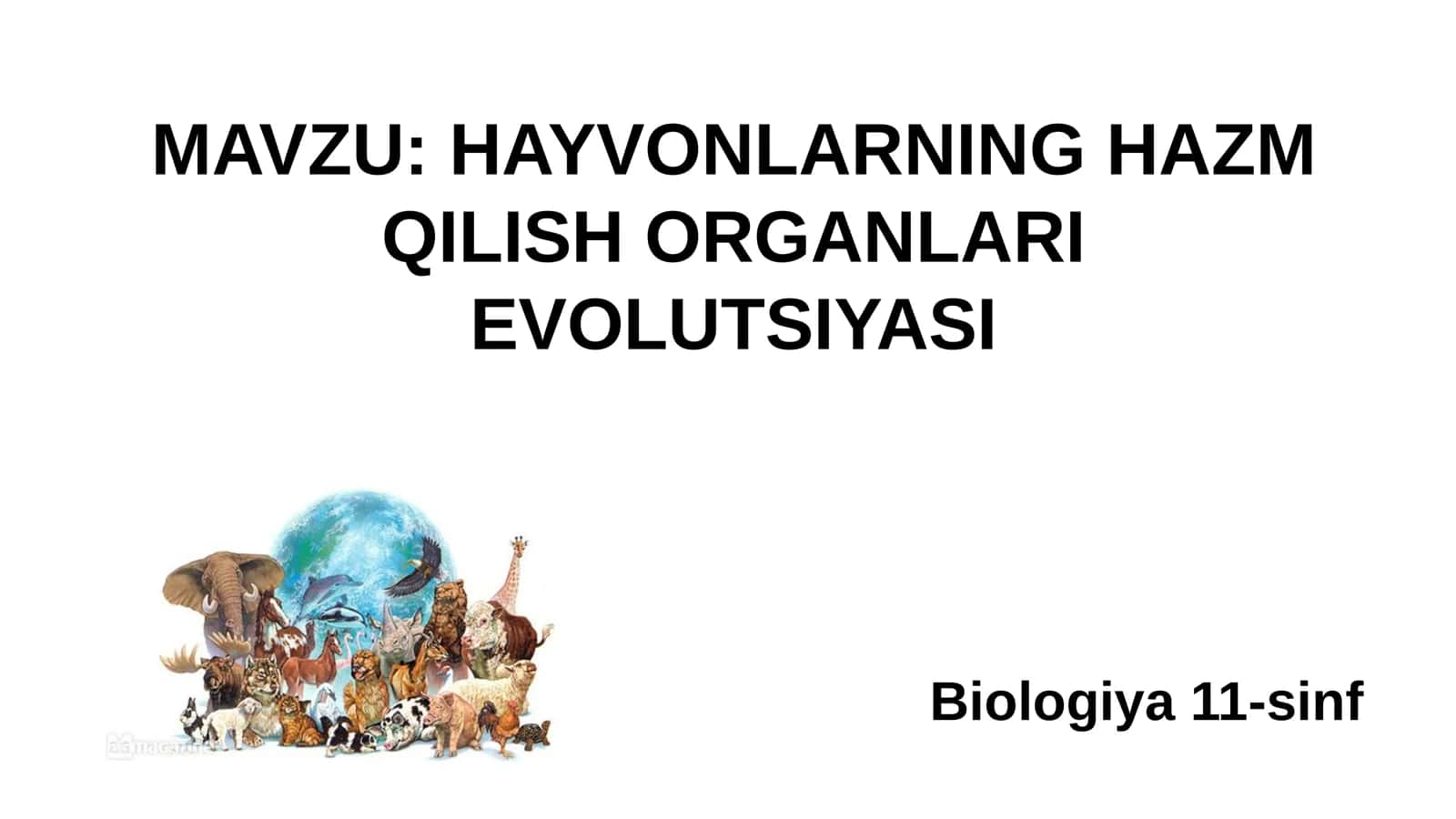 11-Sinf Biologiya: “Hayvonlarning Hazm Qilish Organlari Evolyutsiyasi” Taqdimot 1