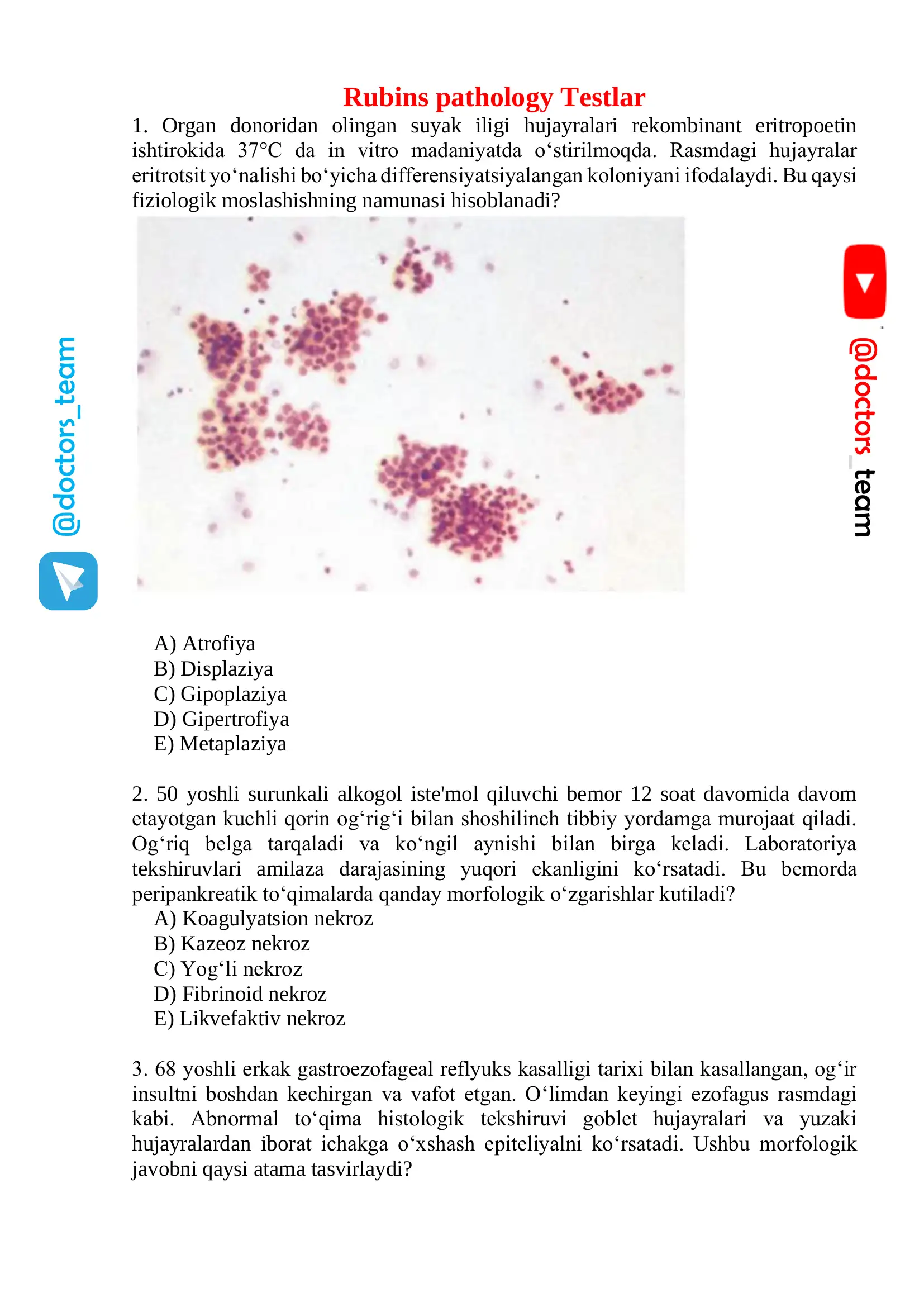Rubins pathology Testlar 1