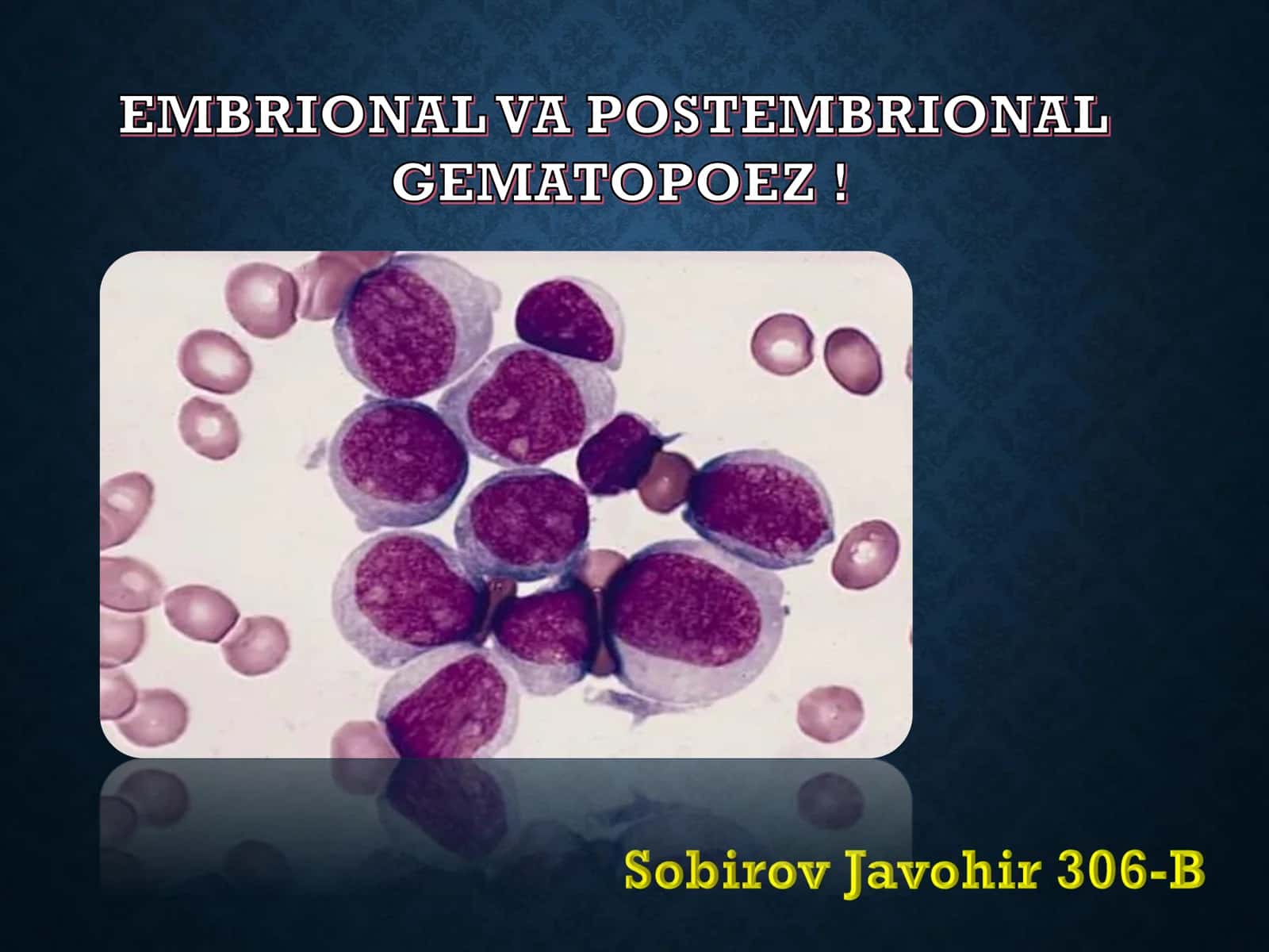 EMBRIONAL VA POSTEMBRIONAL GEMATOPOEZ 1