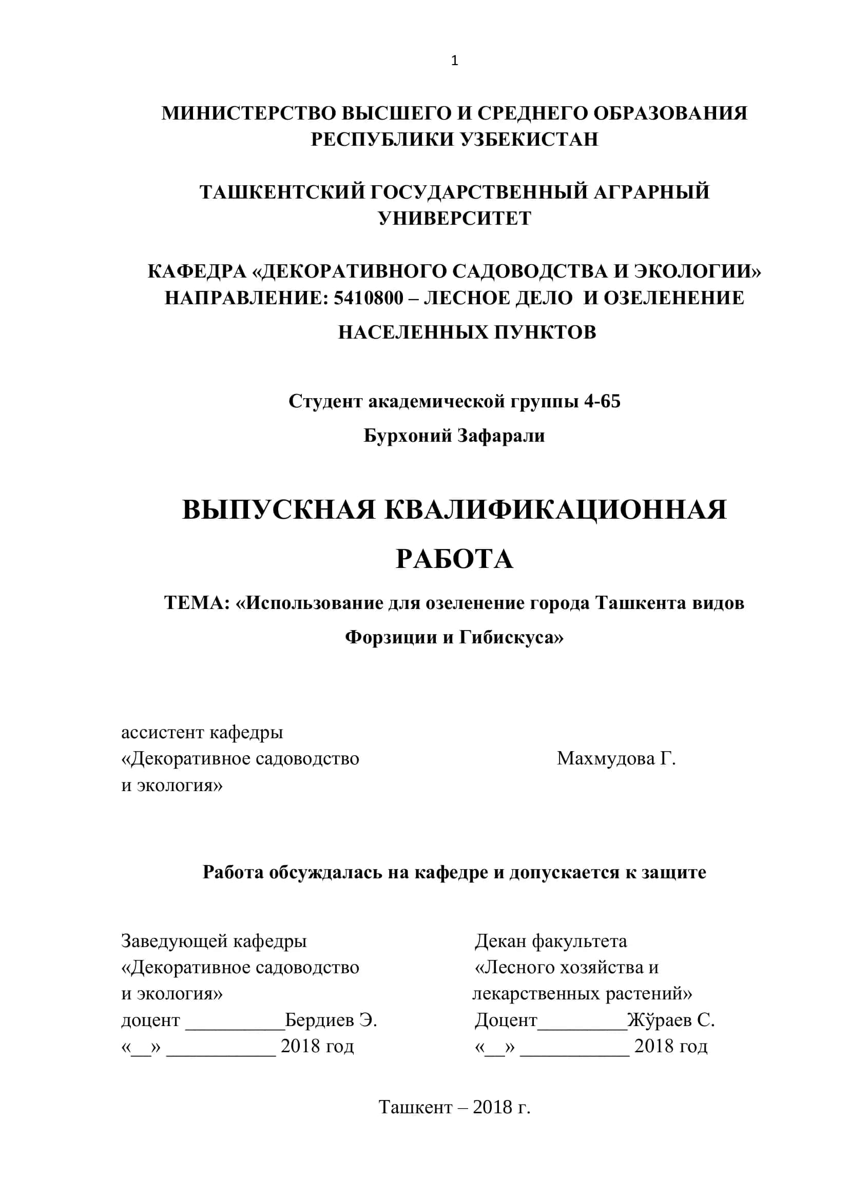 Выпускная квалификационная работа 1