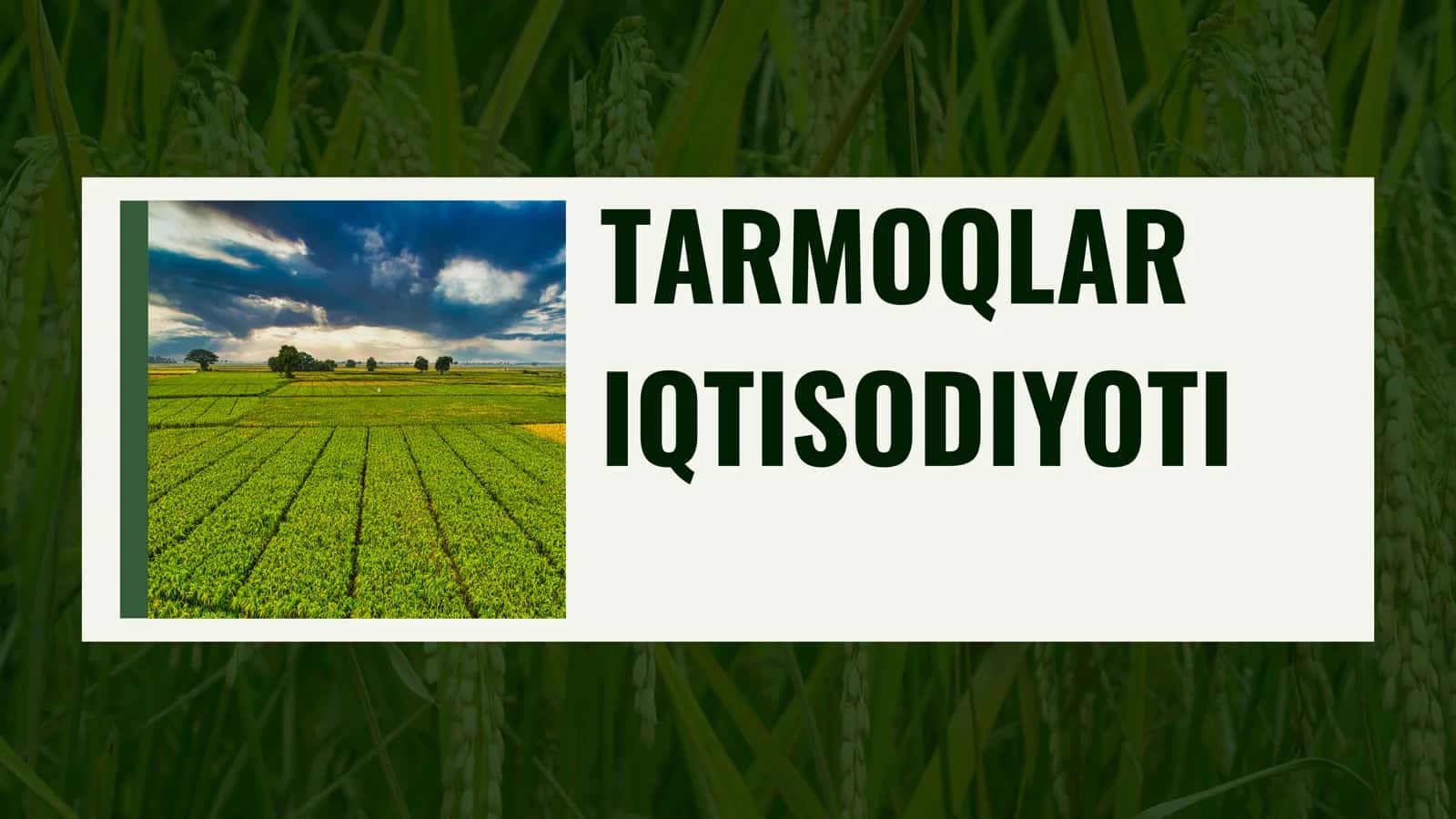 Tarmoqlar iqtisodiyoti 1