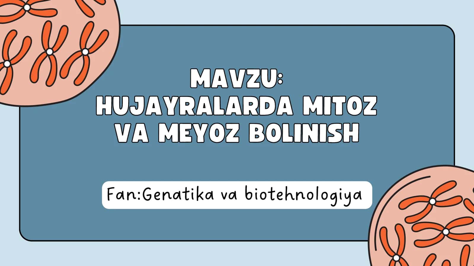 Hujayralarda mitoz va meyoz 1