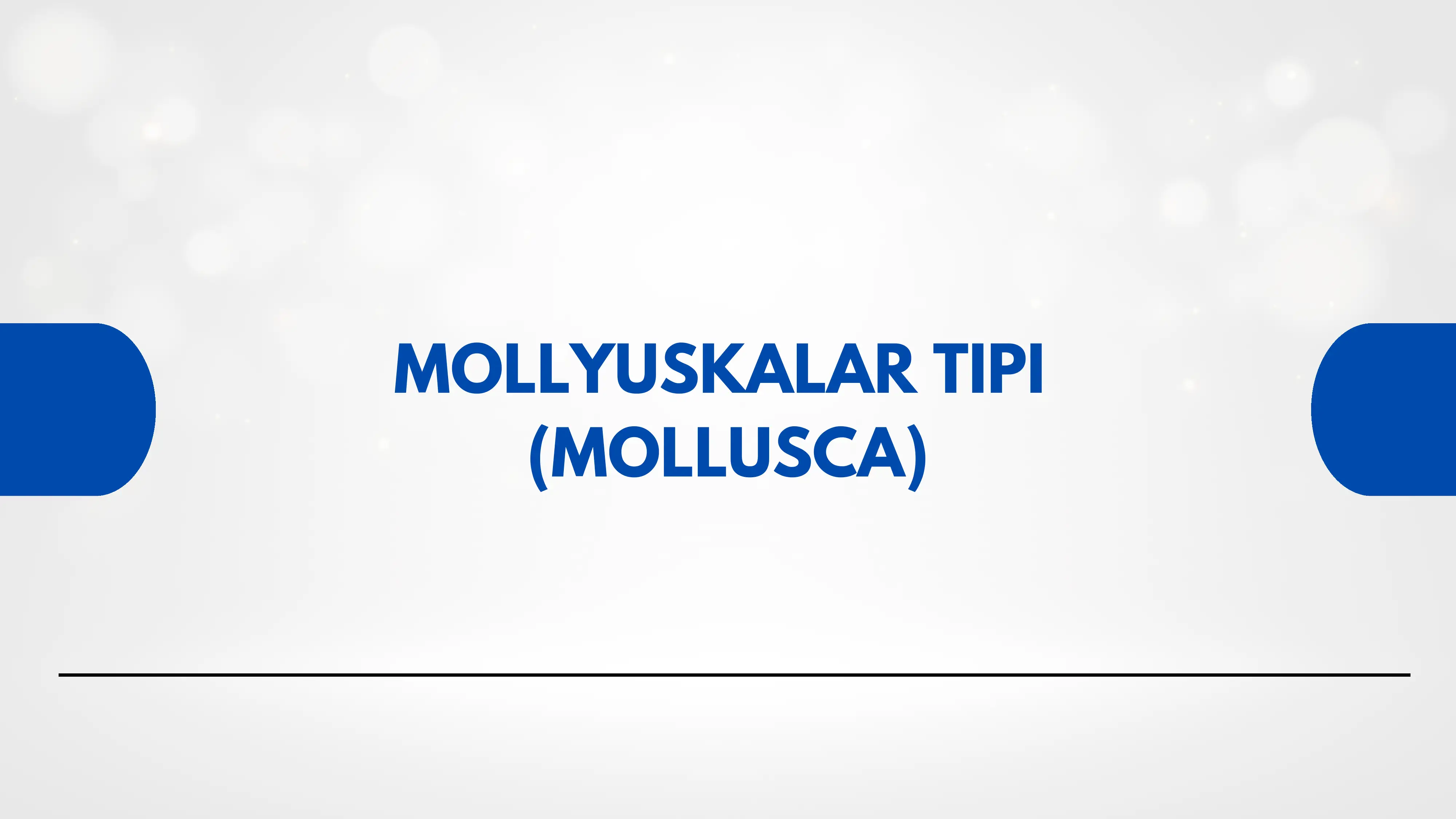 MOLLYUSKALAR TIPI (MOLLUSCA) 1