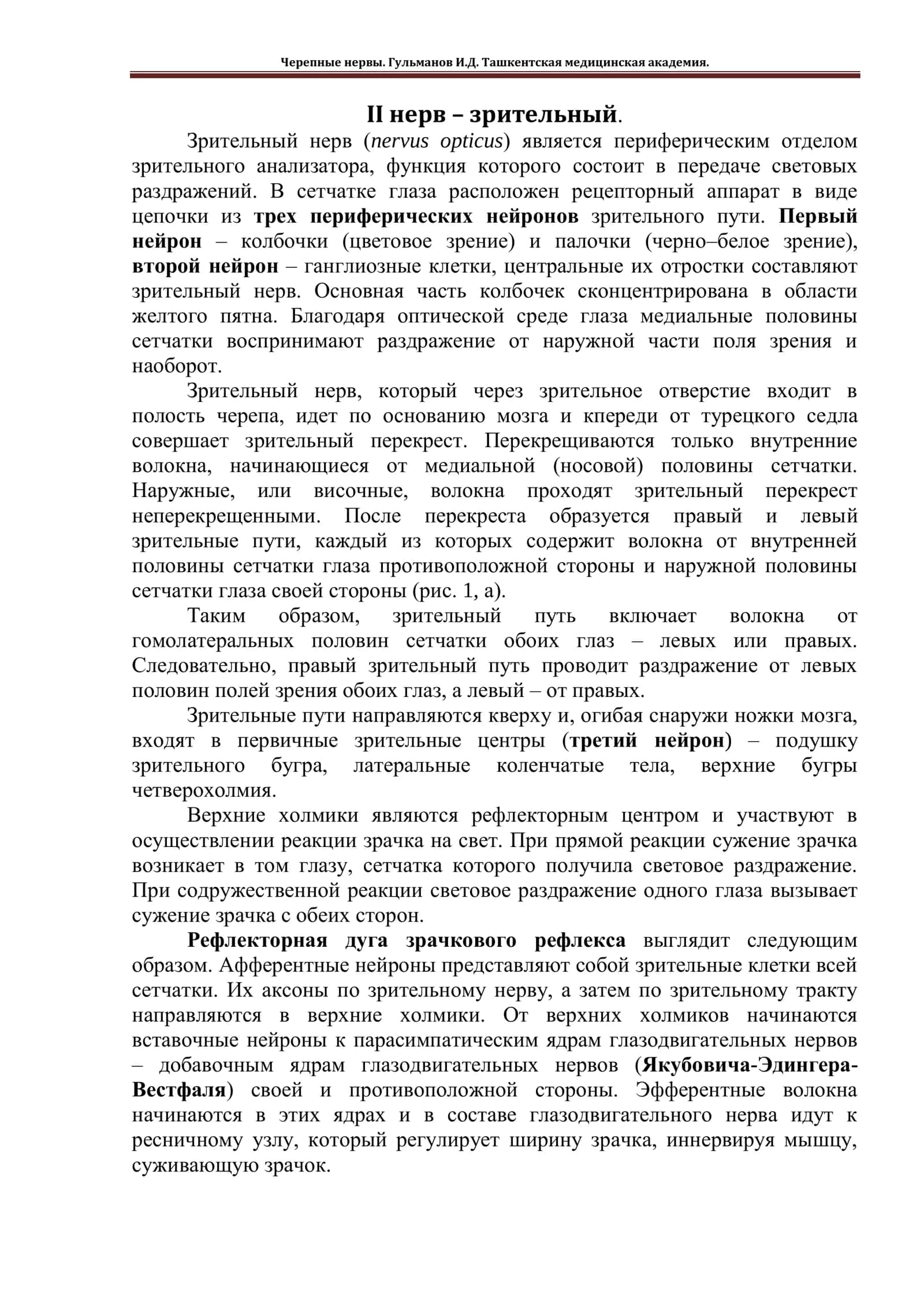 Zrительный нерв (nervus opticus) 1