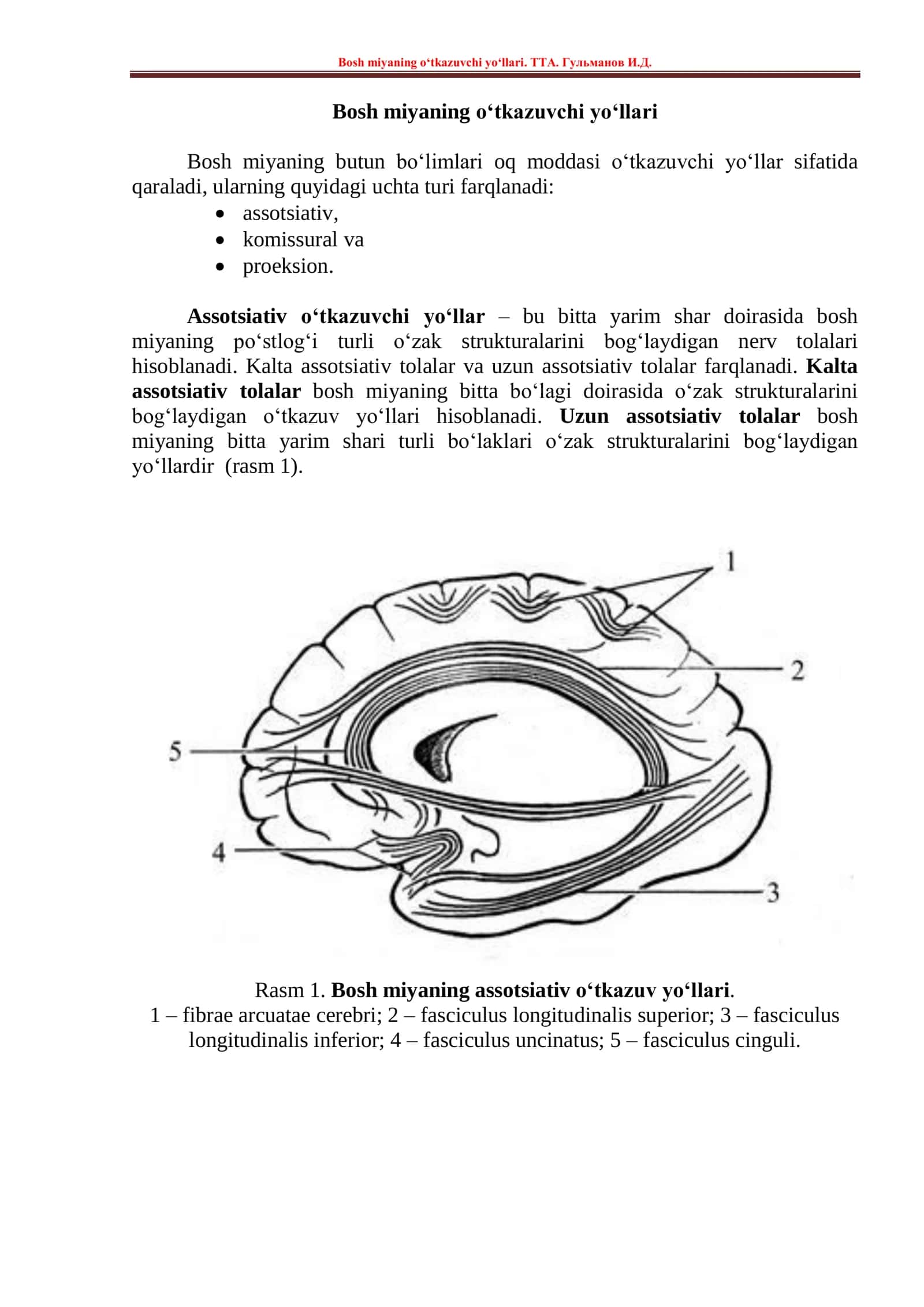 Bosh miyaning o‘tkazuvchi 1