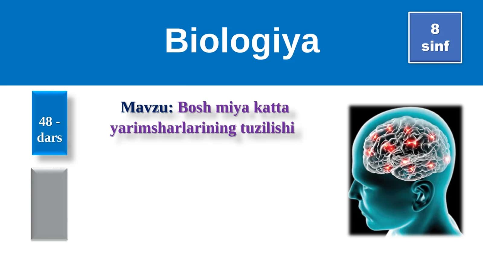 8-Sinf Biologiya: “Bosh Miya Katta Yarimsharlarining Tuzilishi” Taqdimot 1