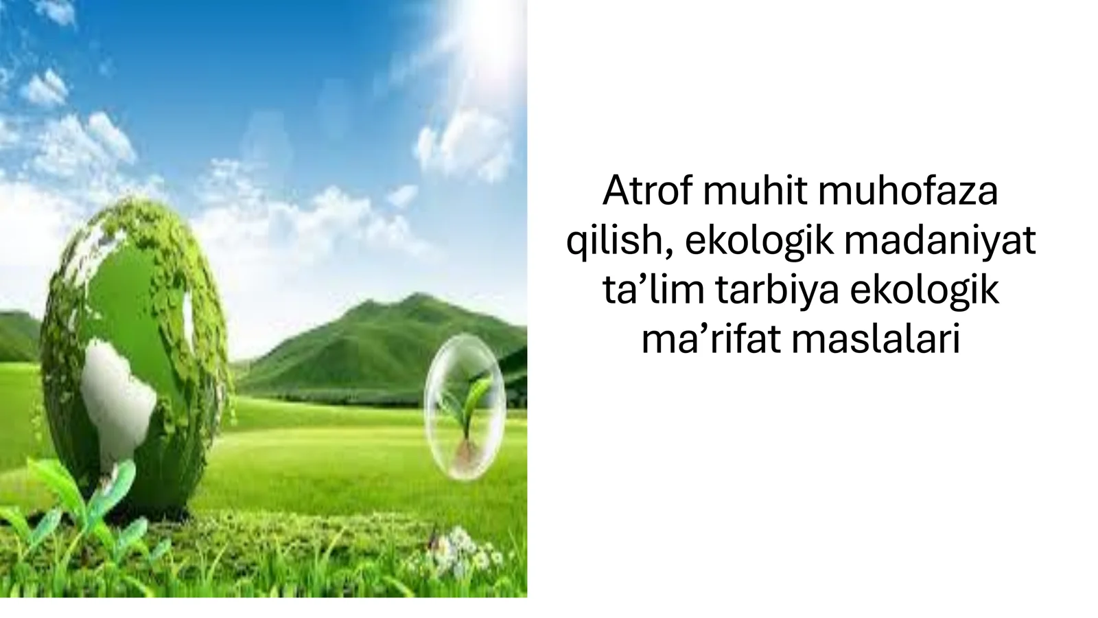 Atrof muhit muhofaza 1