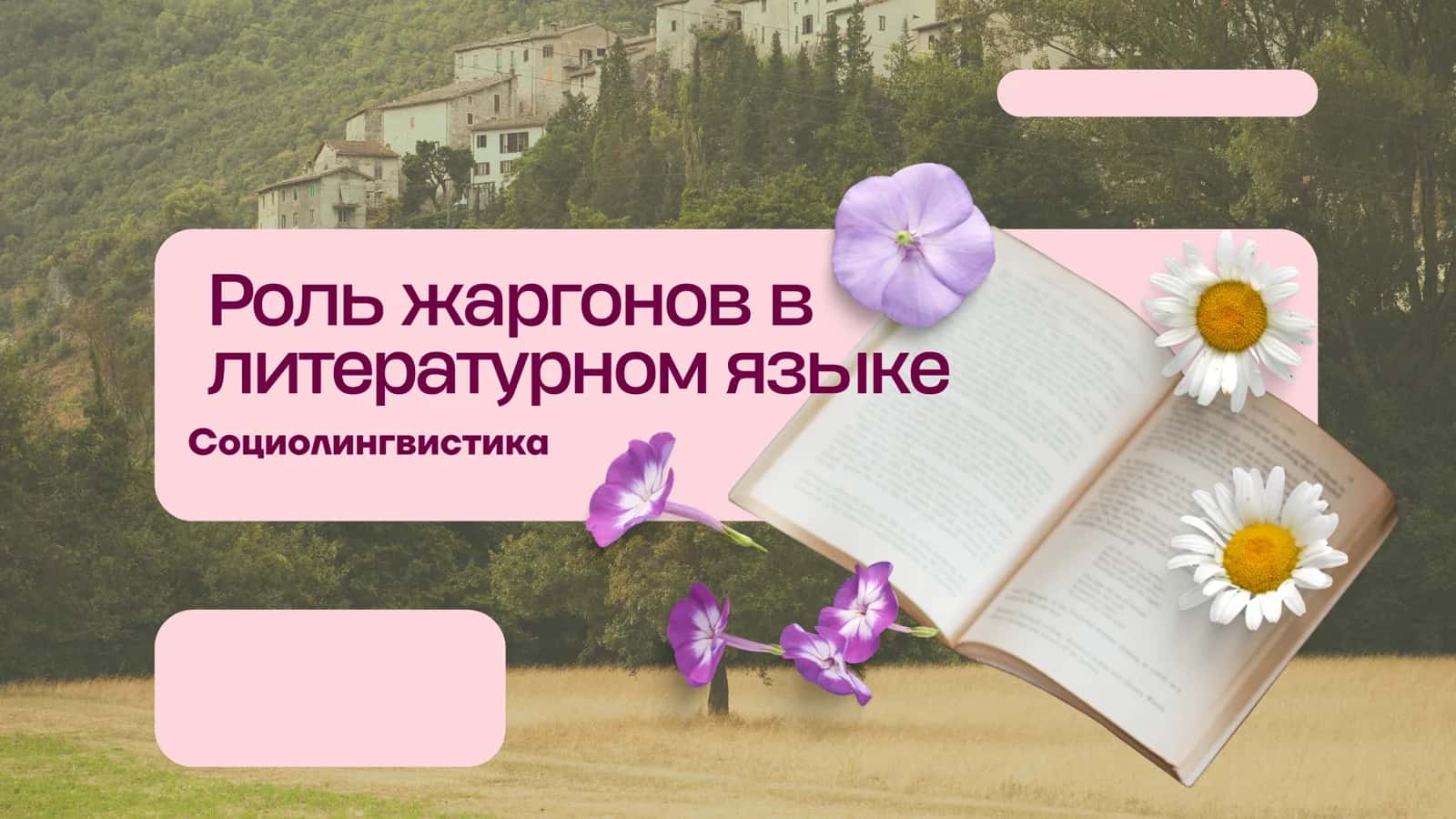 Роль жаргонов в литературном языке 1