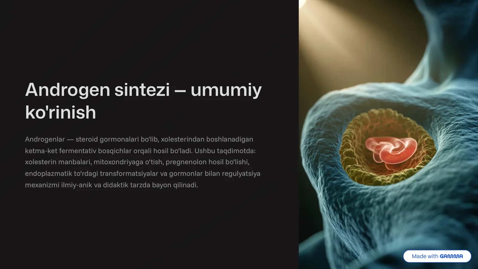 Androgen sintezi 4 umumiy 1