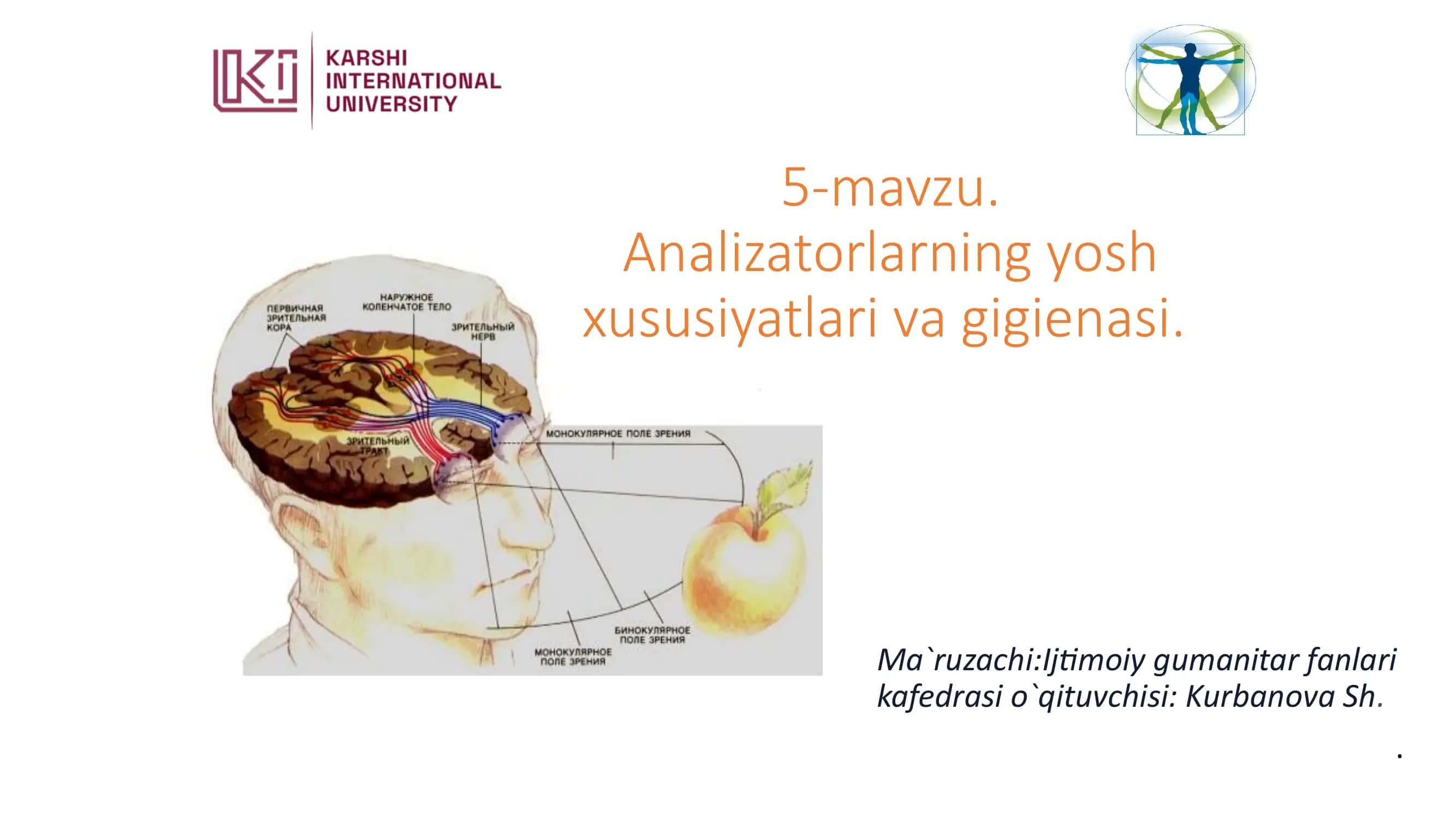 Sensor Tizim - Analizator 1