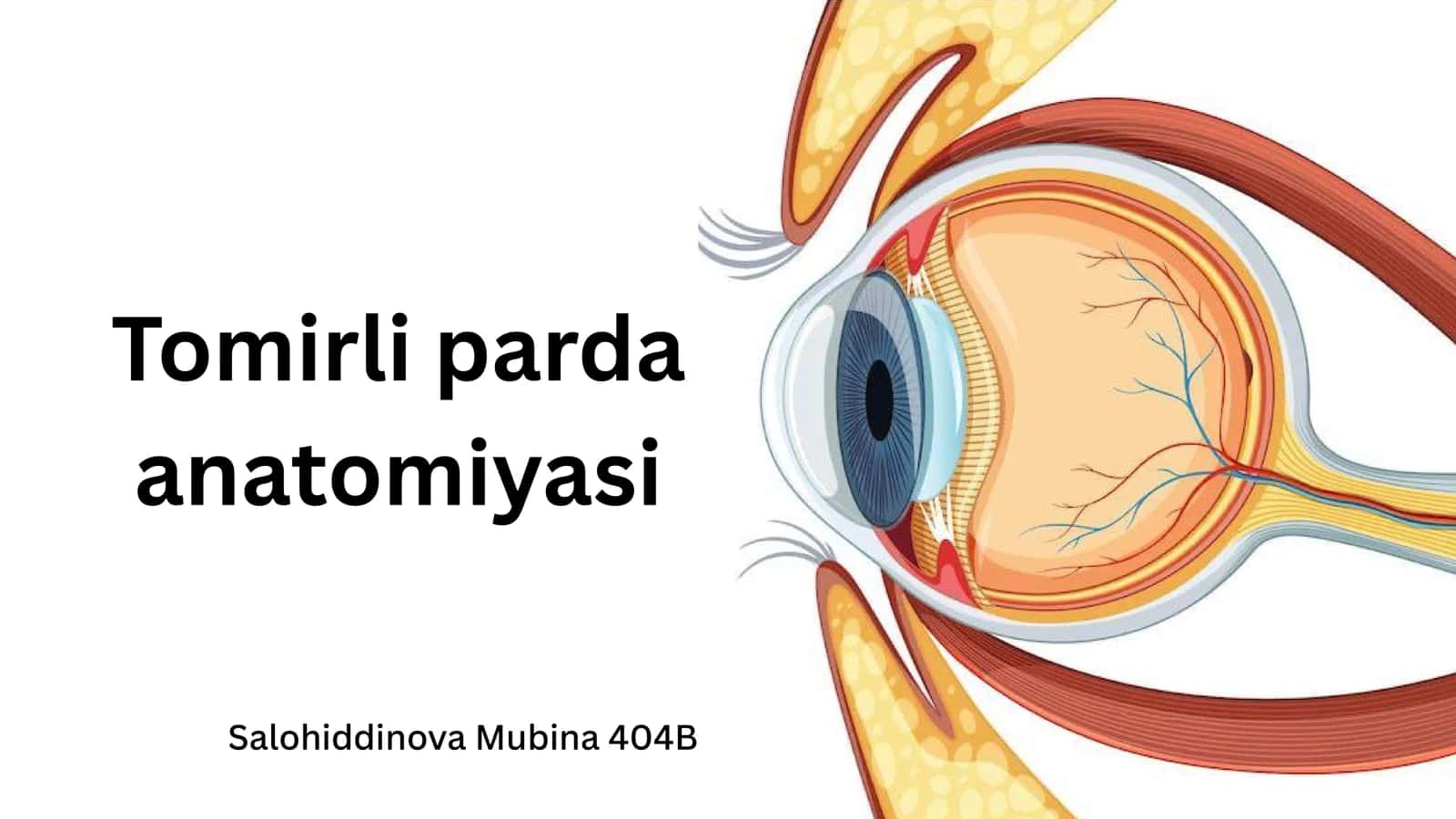 Tomirli parda 1