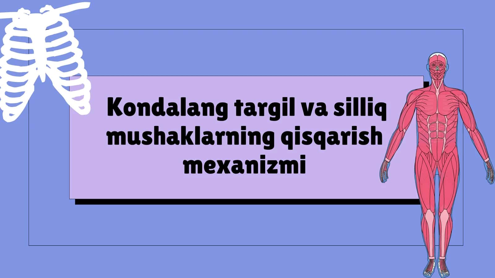 Kondalang targil va silliq mushaklarning qisqarish mexanizmi 1