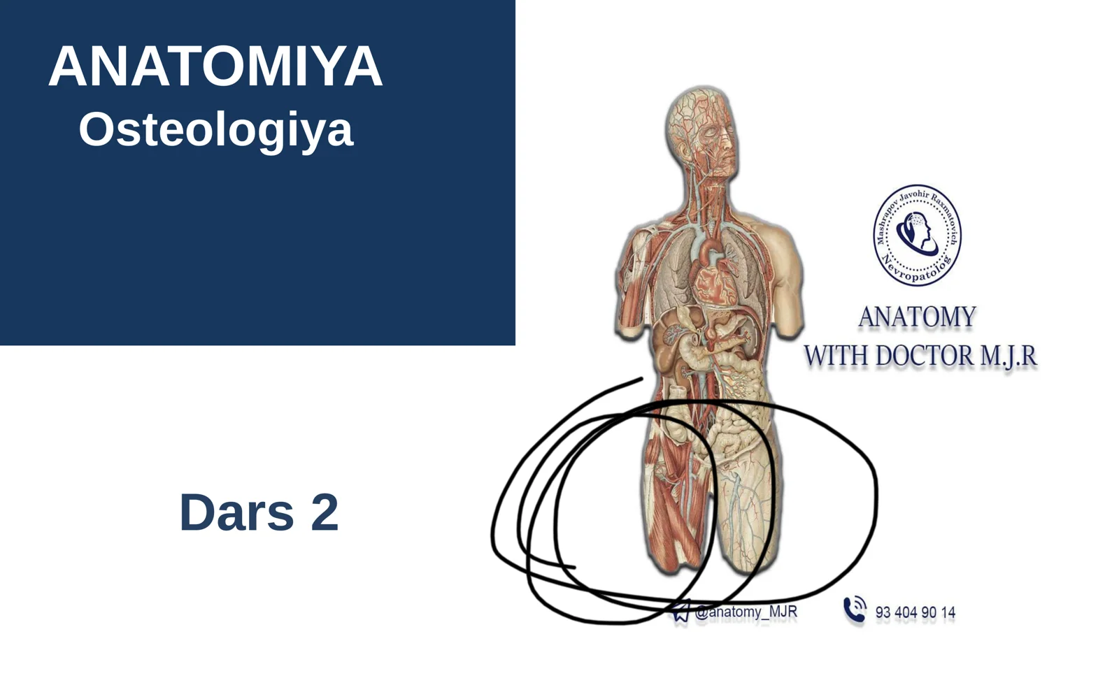 Tosh suyagi-Qovurgalar-Omrov-Kurak 1
