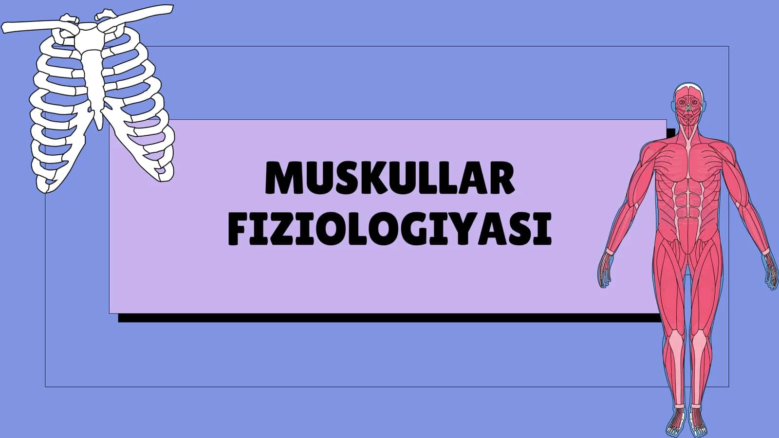 Muskullar fiziologiyasi 1
