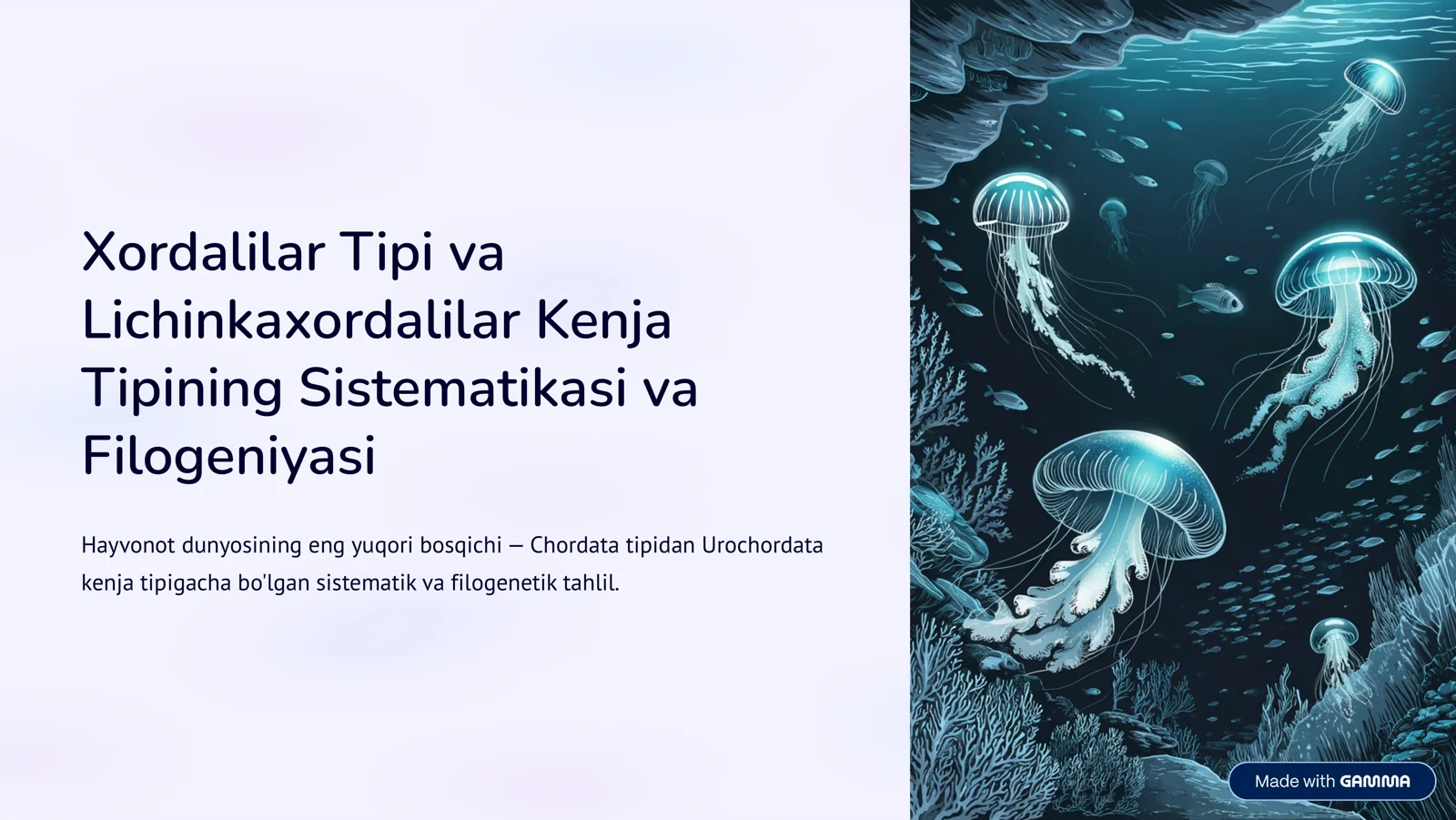 Lichinkaxordalilar Kenja Tipining Sistematikasi va Filogeniyasi 1