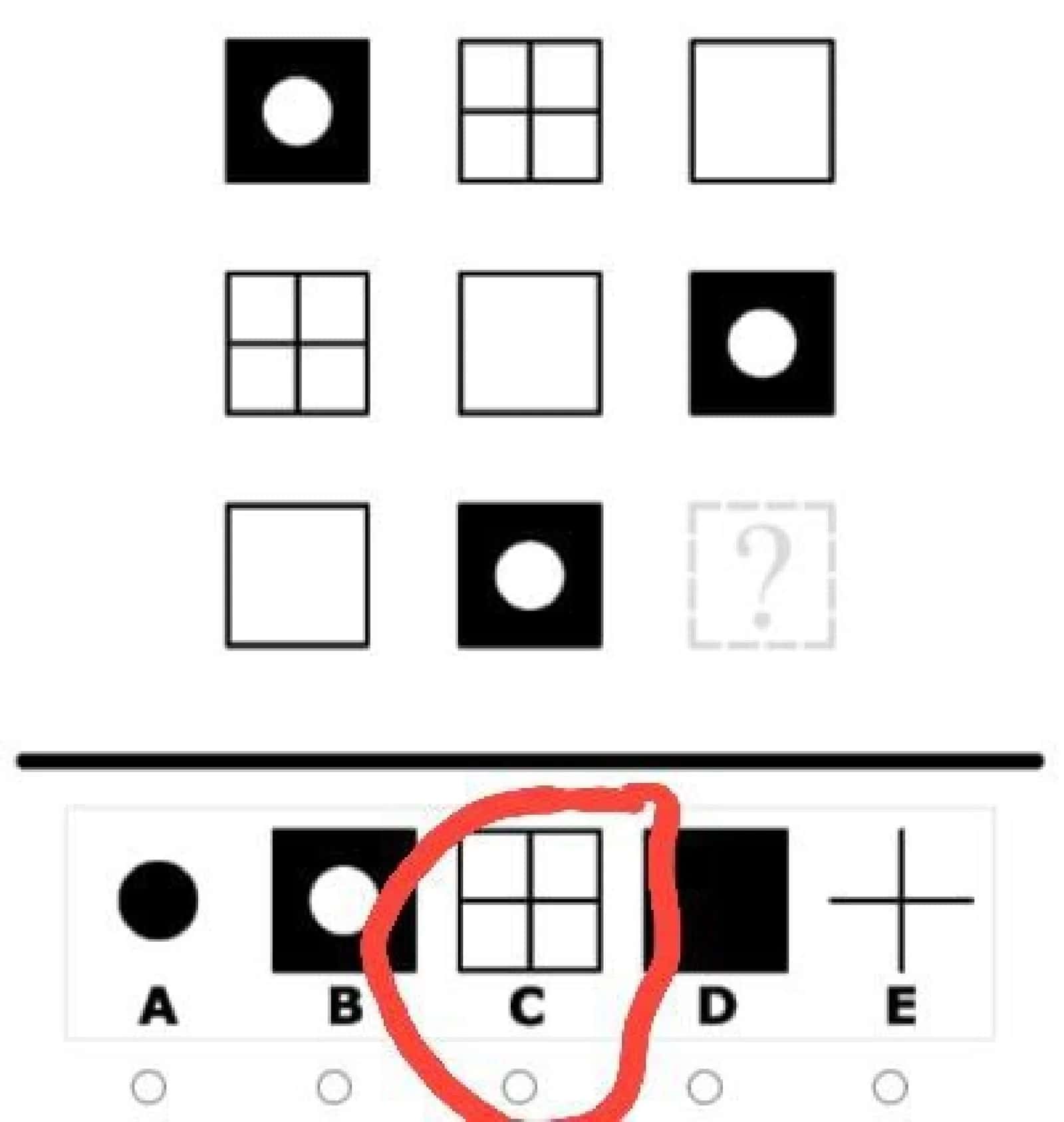ARGOS iQ test 2025 1
