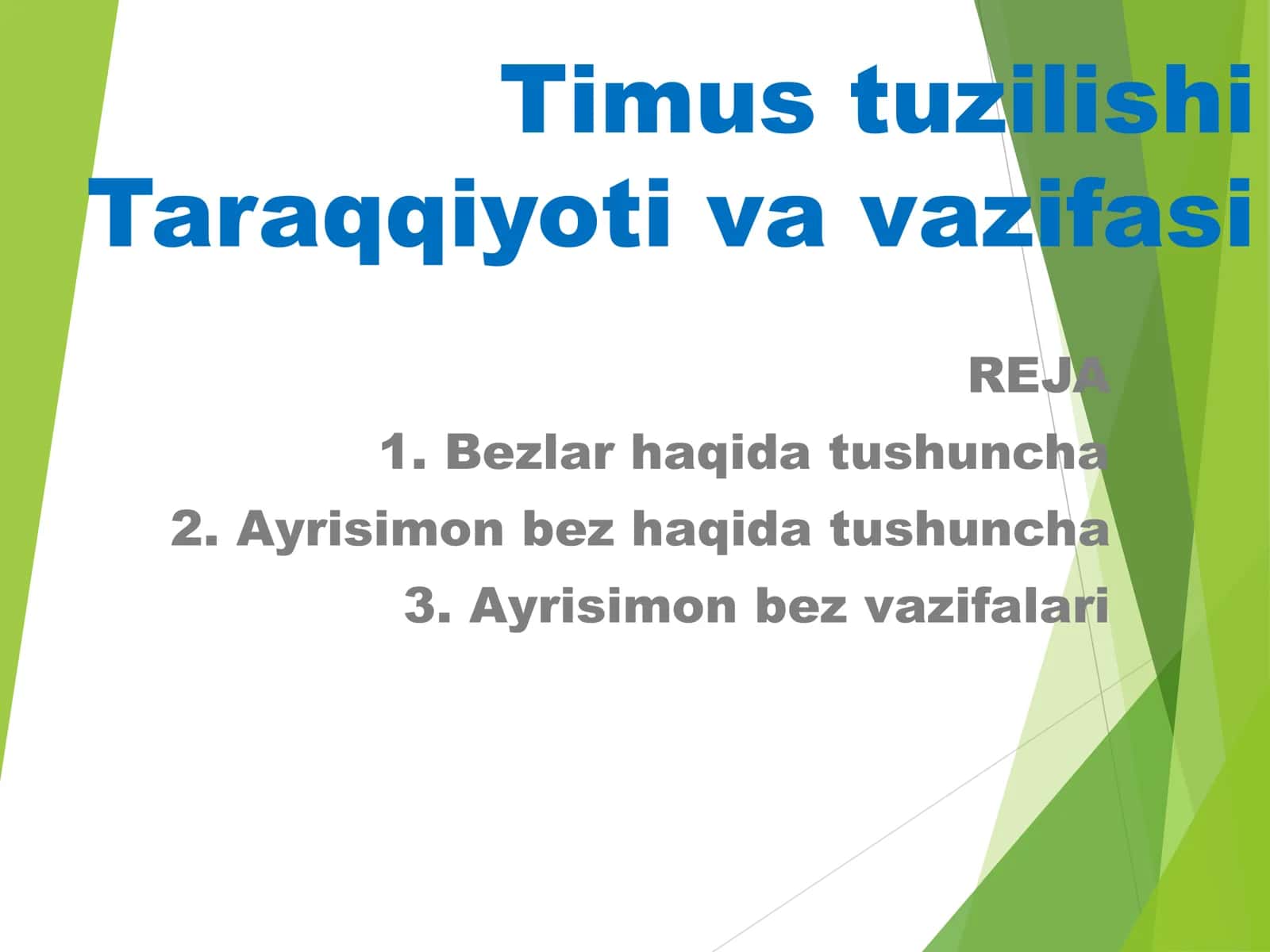 Timus tuzilishi 1