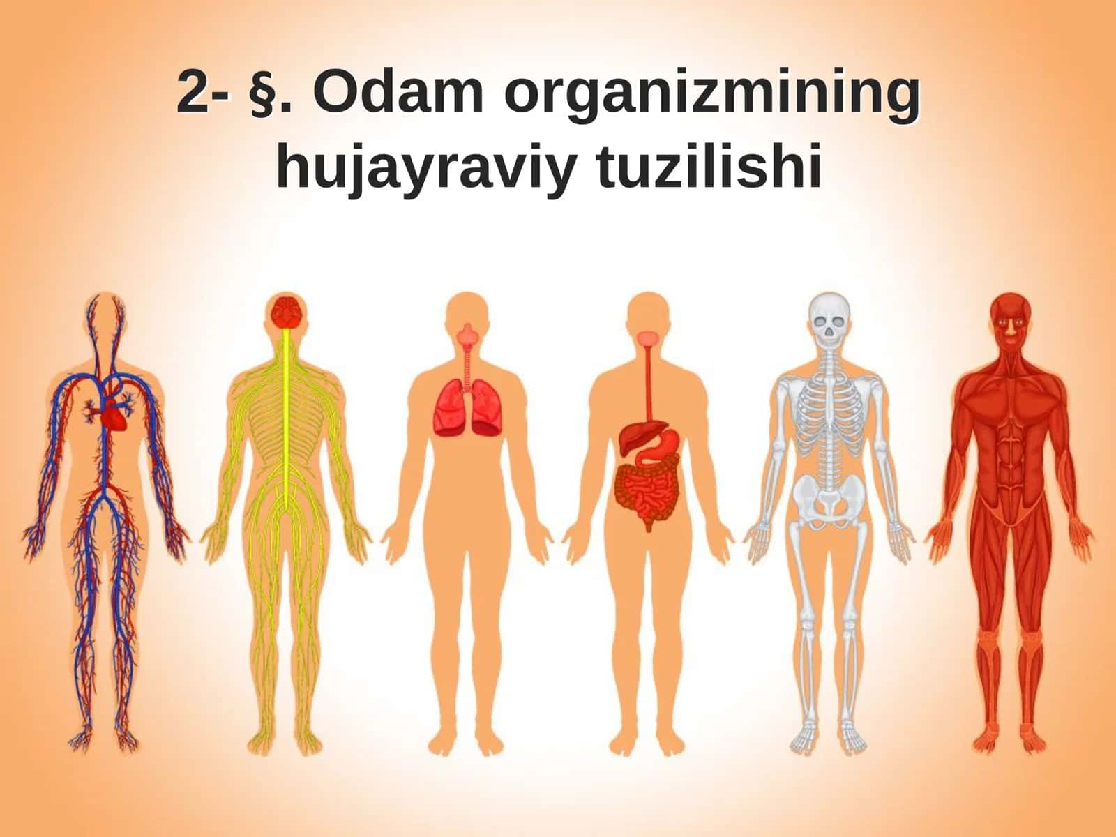 Biologiya: “Odam Organizmining Hujayraviy Tuzilishi” Taqdimot 1