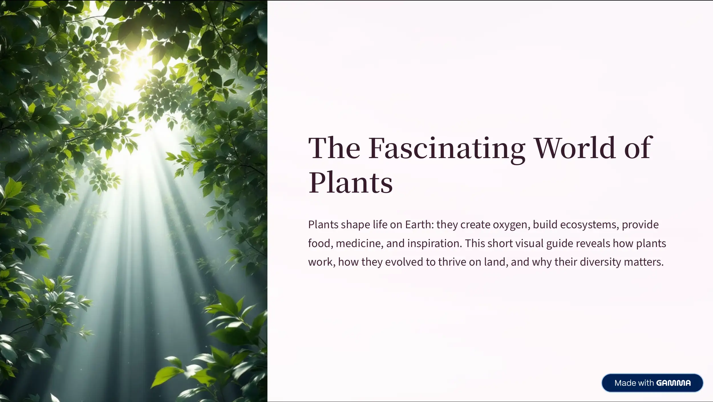 Essential Plant Parts 1
