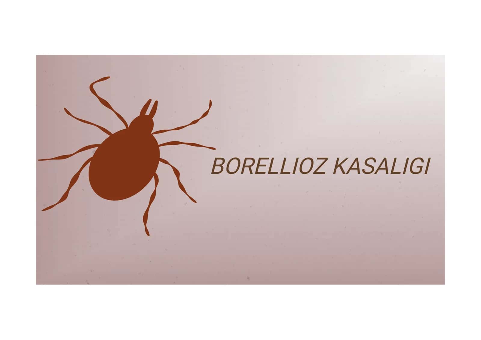 Borellioz Kasalligi 2