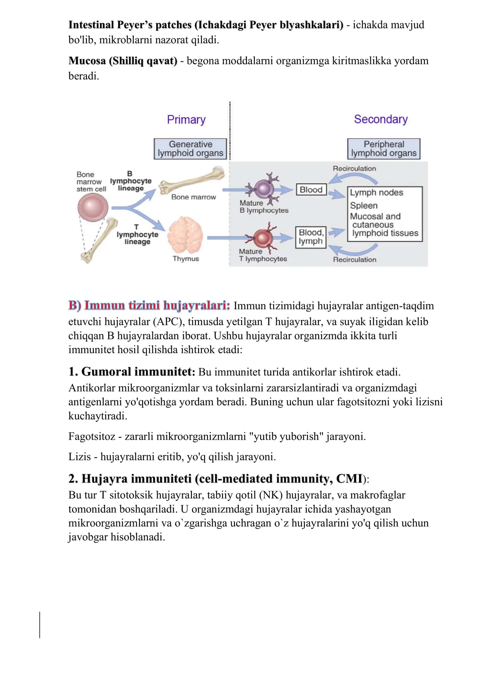 [Immunologiya: Chapter 1] 2