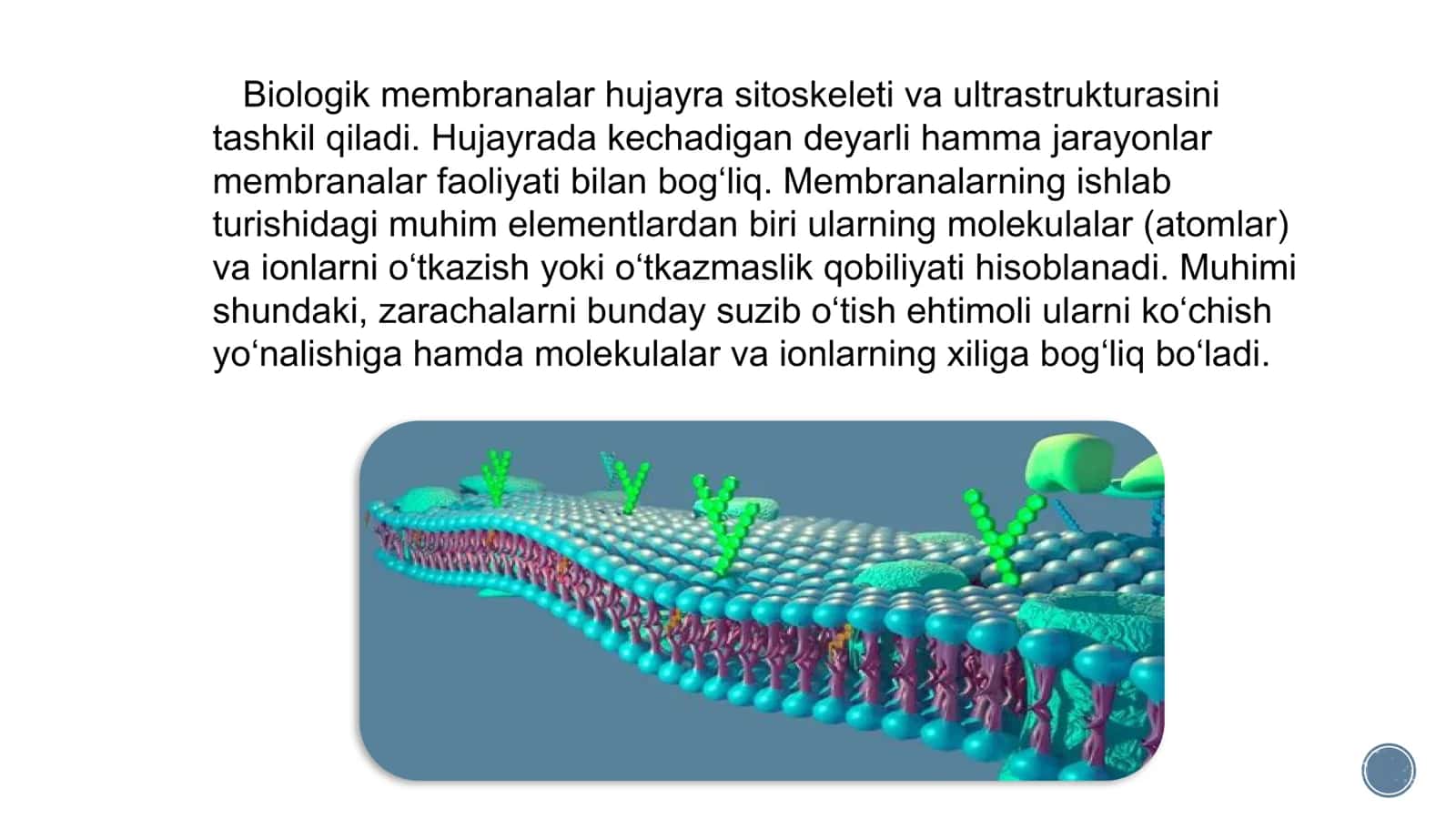 Signallarni membranalar orqali o’tkazilishi 2