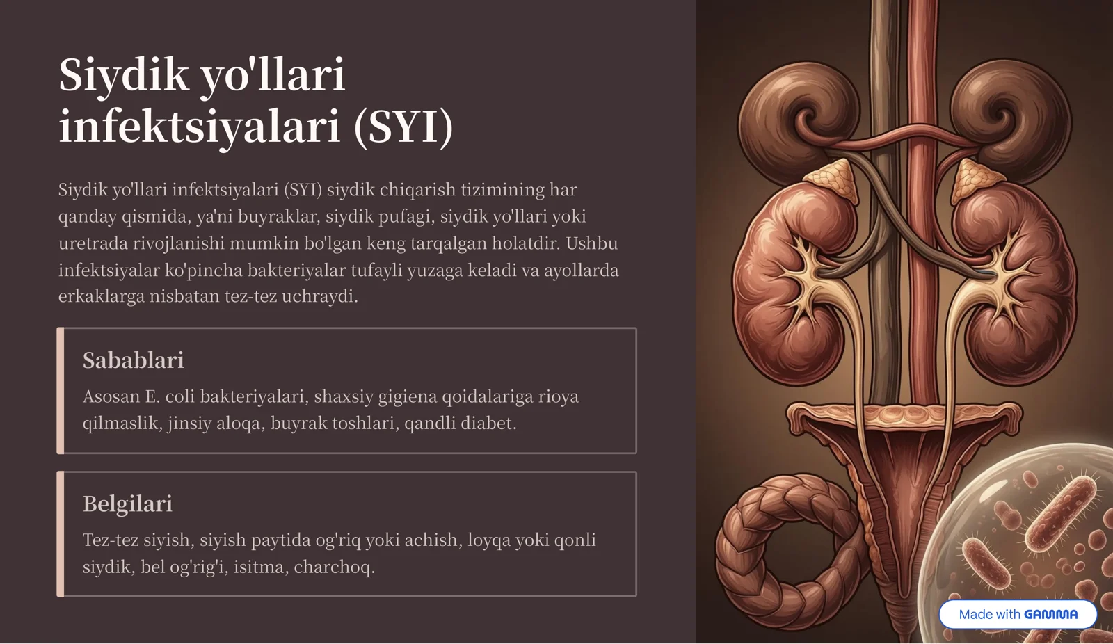Siydik yo'llari infektsiyalari (SYI) 2