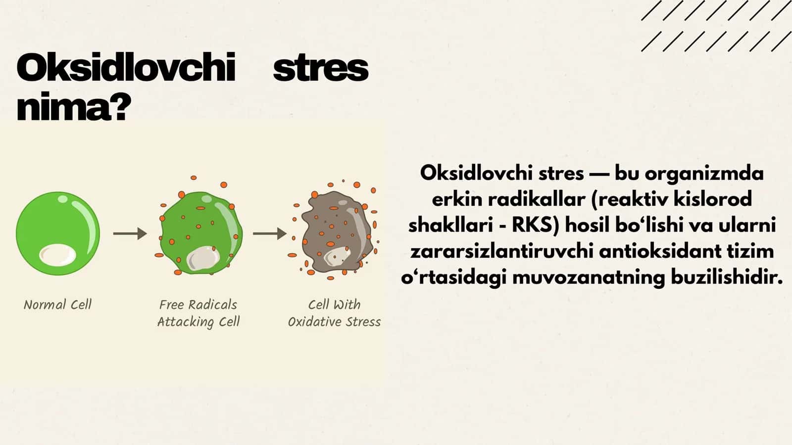 Oksidlovchi stres 2