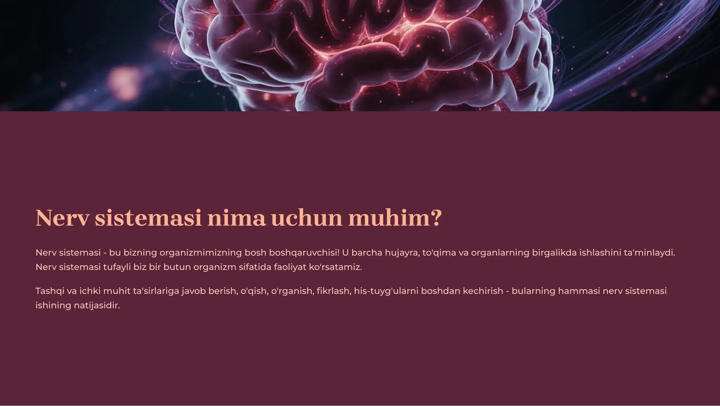 Nerv Sistemasining Tuzilishi 2