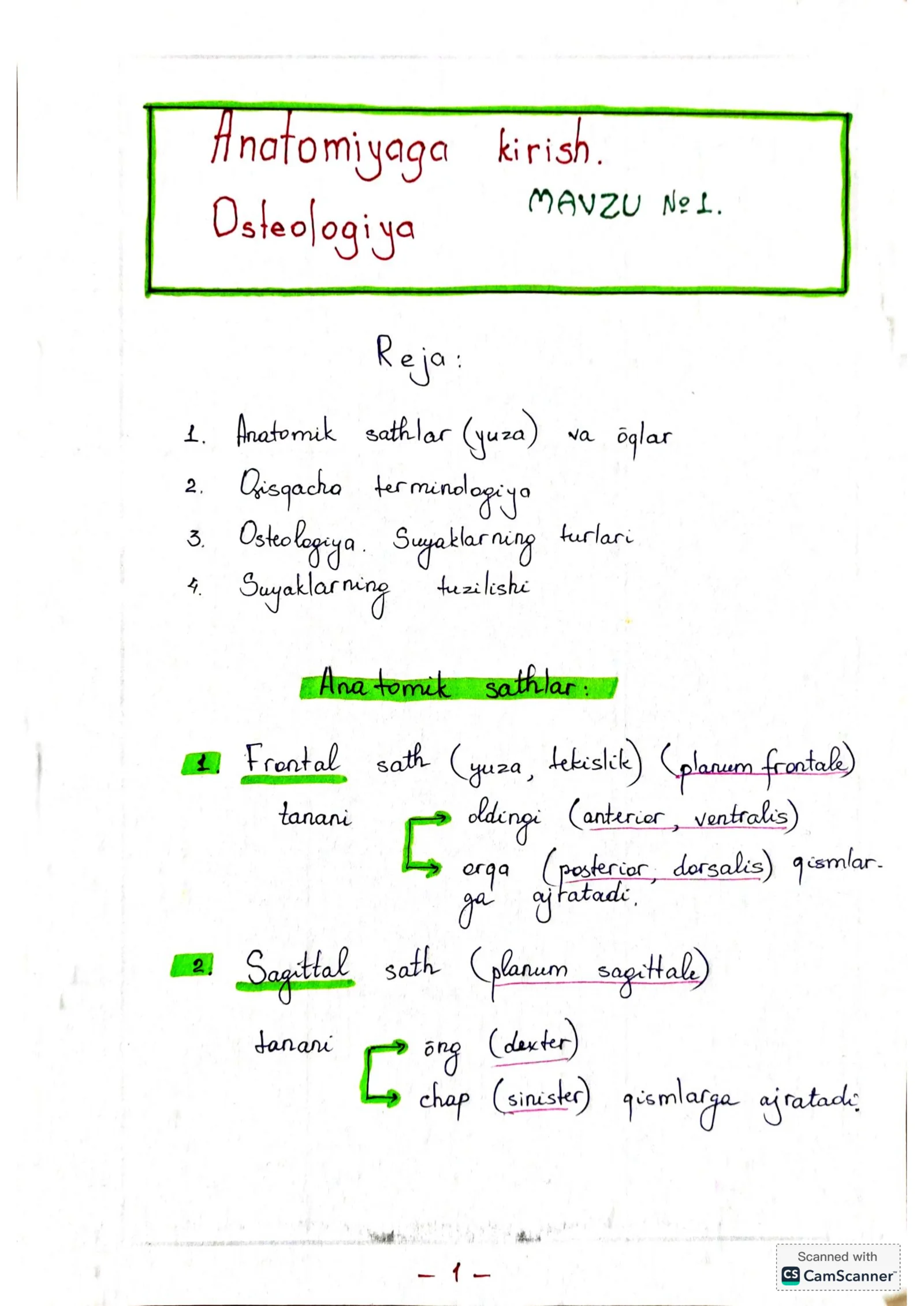 Anatomiya mustaqil ôrganishga 2