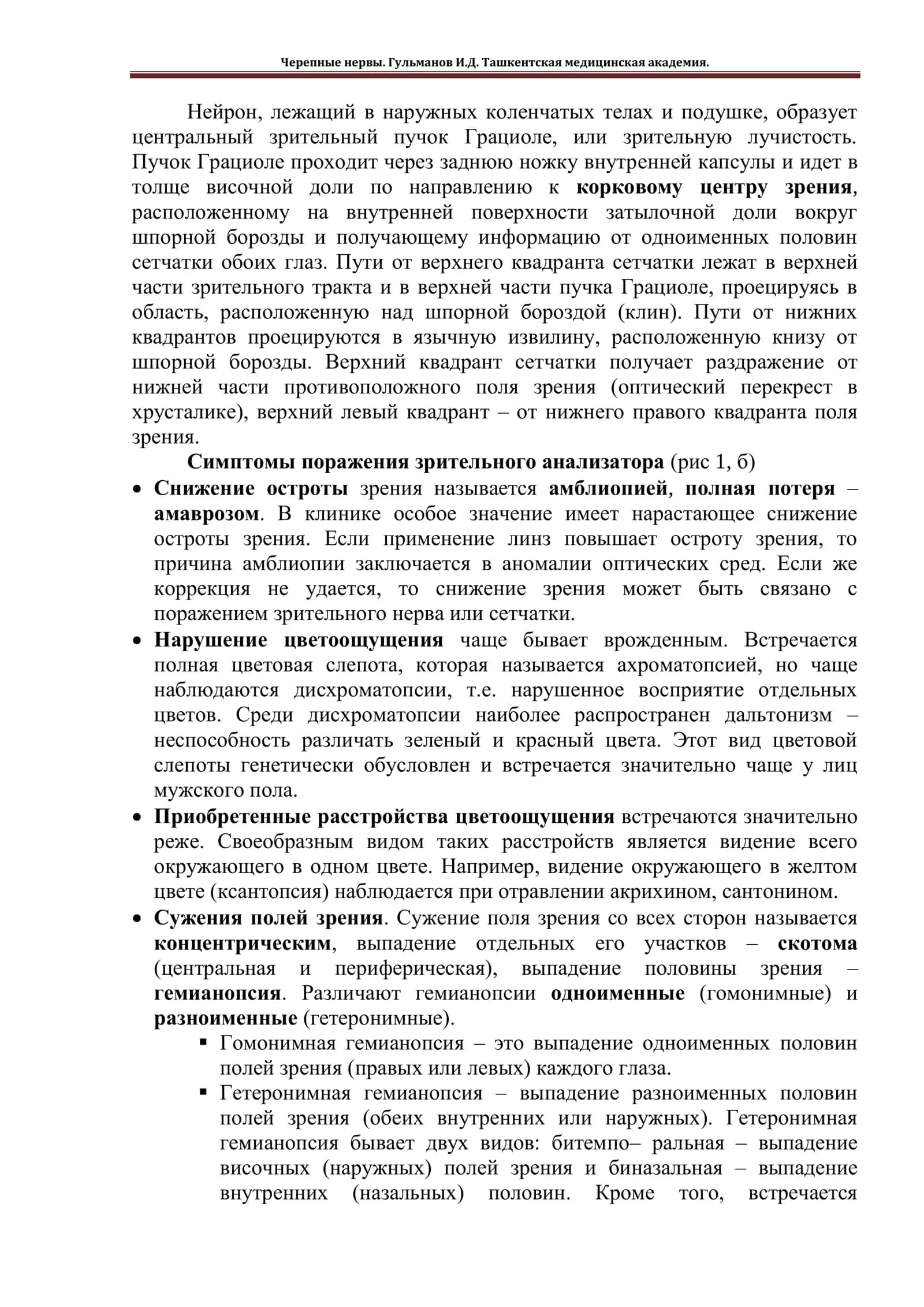 Зрительный нерв 2