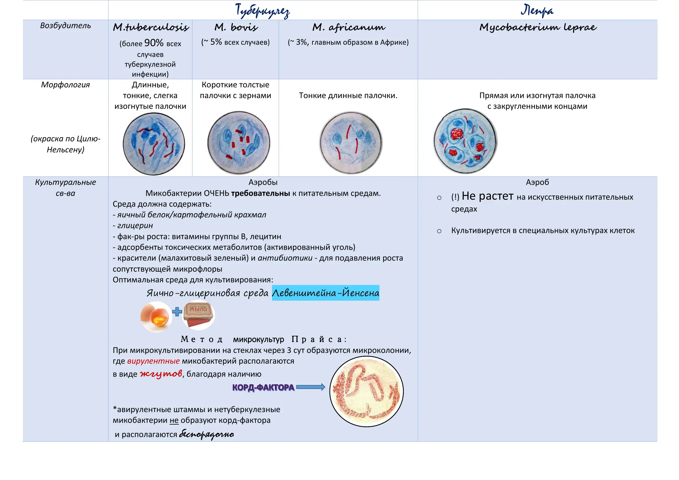 Туберкулез 2