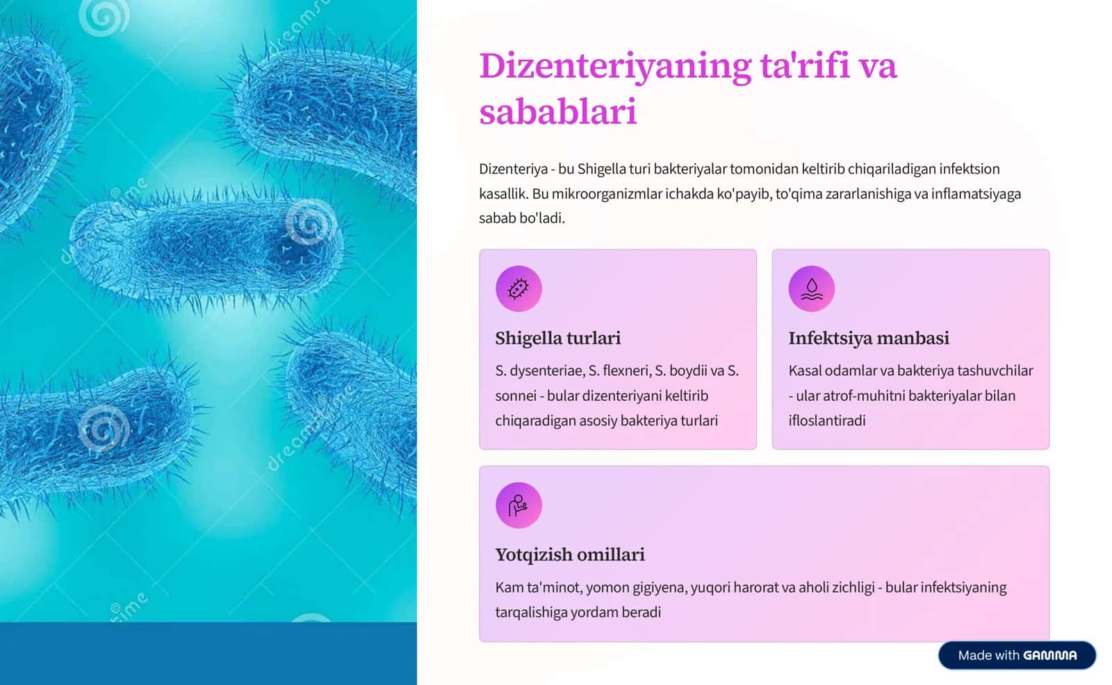 Dizenteriyaning profilaktikasi 2