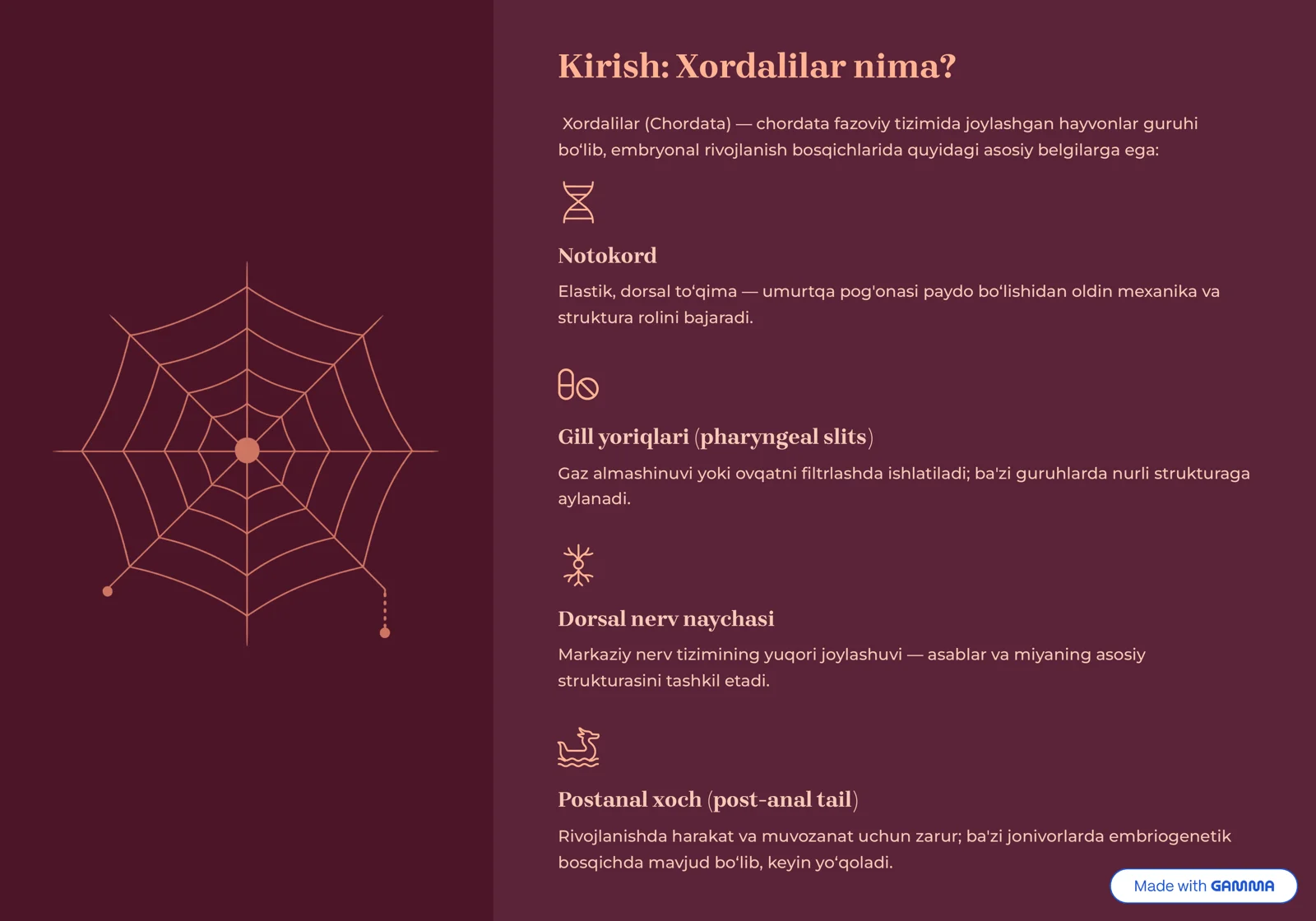 Xordalilar (Chordata) va ularning 2