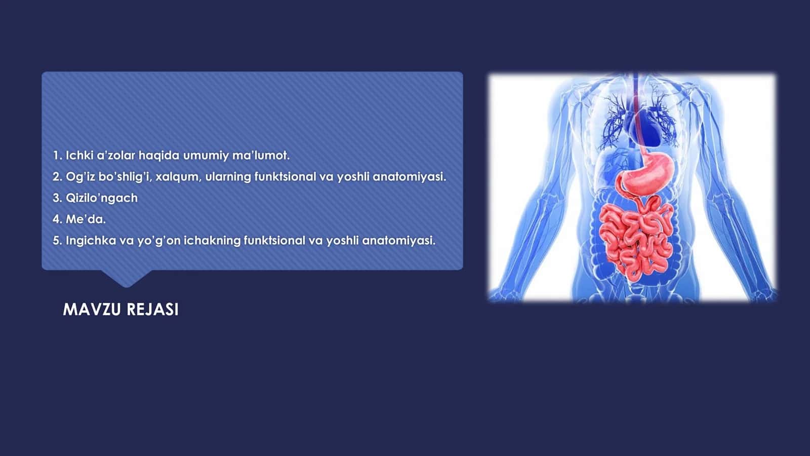 Darslik Splanxnologiya hazm qilish organlari anatomiyasi 2