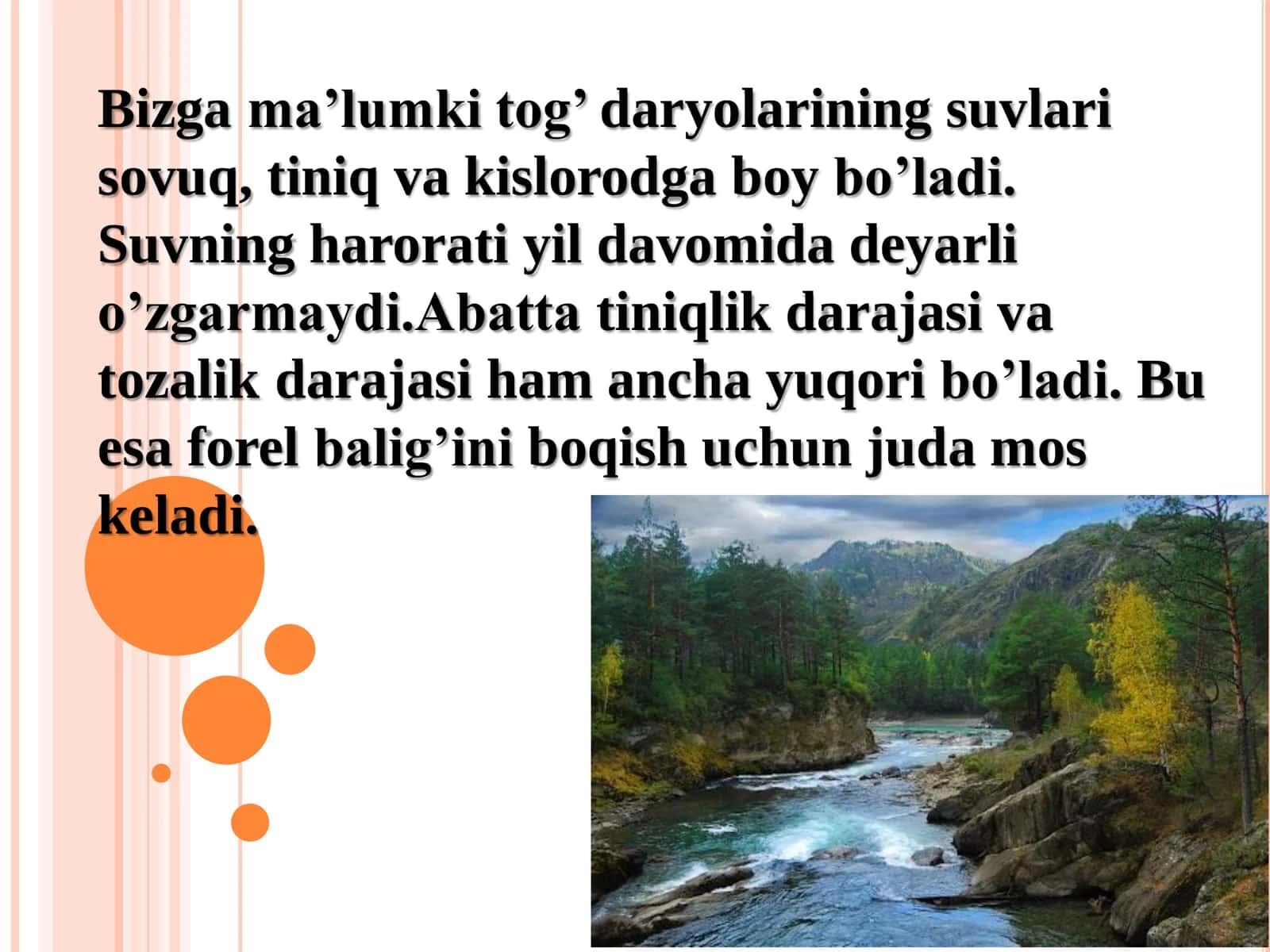 FOREL BAL 2