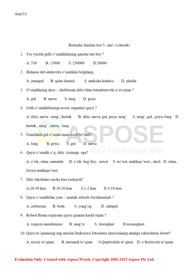 Preview 2