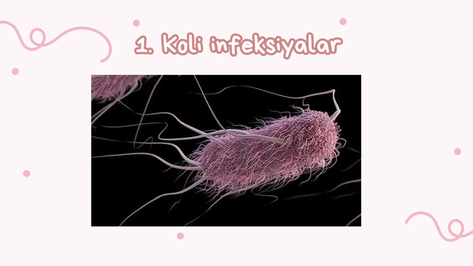 Ichak bakterial yuqumli kasallik qo‘zg‘atuvchilari (Koli-infeksiyalar, Shigellyozlar) 2