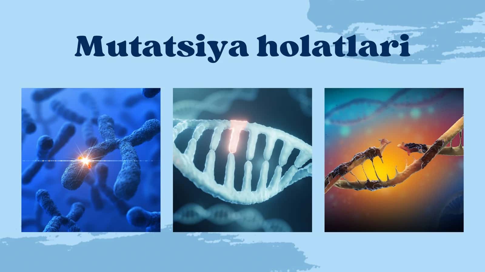Prezentatsiya. Mutatsiya va uning turlari. Katta mavzu. 2